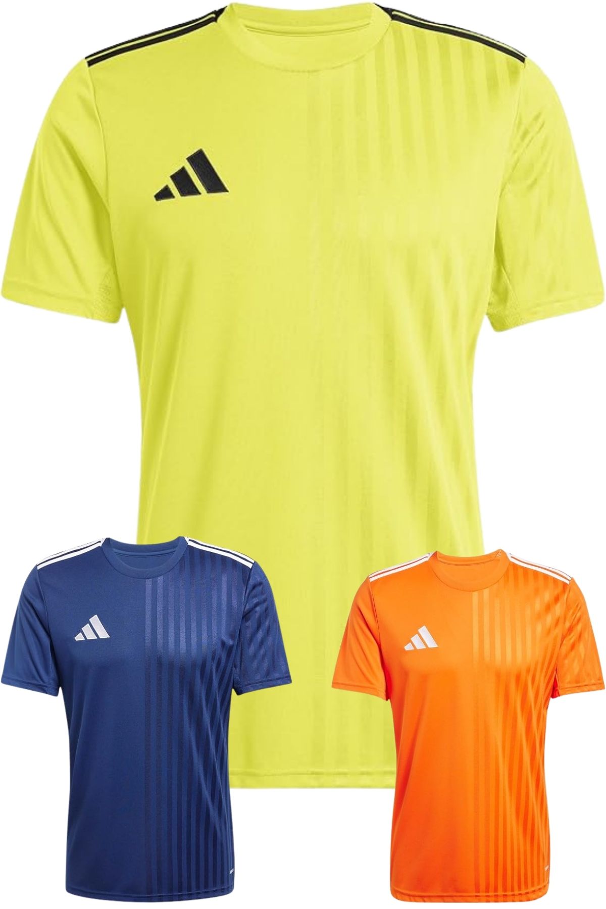 adidas Campeon25 Jsy M Erkek Futbol Antrenman Forması 